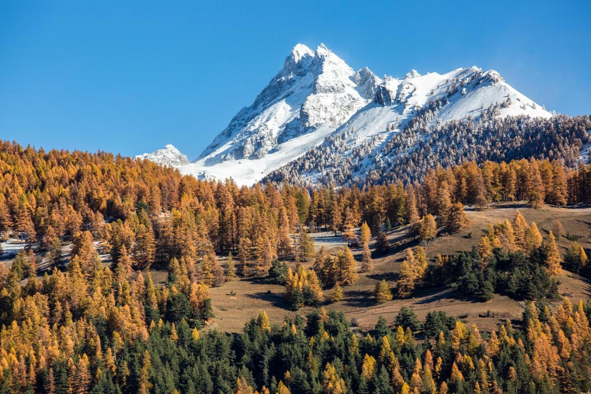 La Casse Deserte Arvieux Exteriör bild